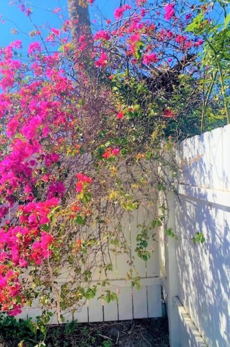 Bright And Beachy 2Bed 1Bath Home - Unit 210 Cocoa Beach Extérieur photo